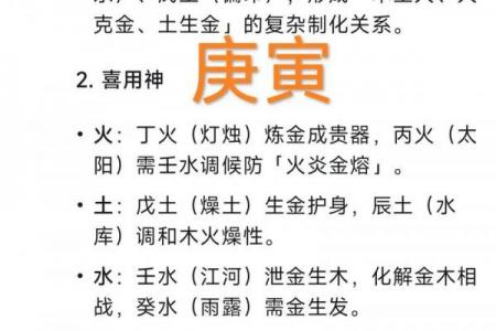 木鸡命的含义解析