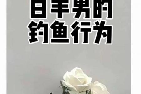 白羊男准备放弃你的信号