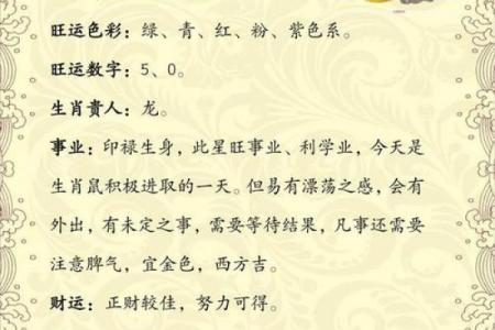 属鼠人最重视谁