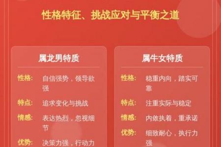 00年属龙男性婚配年份解析