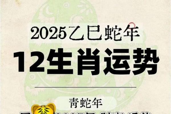 属虎人最艰难的两个年份，属虎人运势最低谷的年份