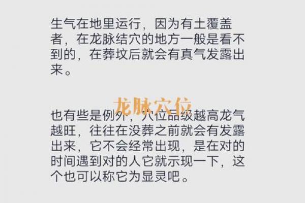 生肖龙遭遇小人暗算时的自保策略及命中贵人解析