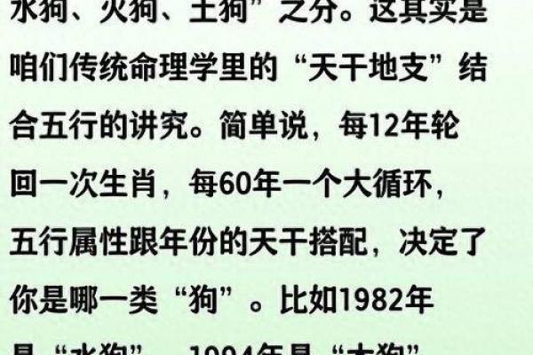 属狗者事业中与何相冲