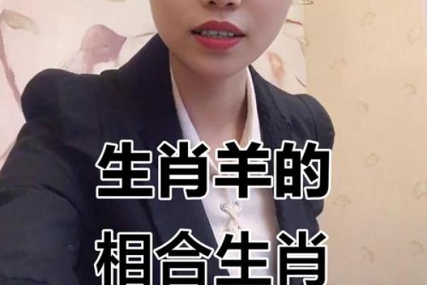金羊命与哪些命相配