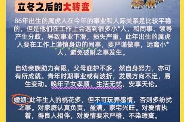 2026年属虎者的贵人与小人分别是谁