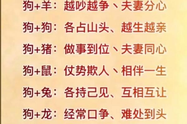 土马命与哪个生肖最相配