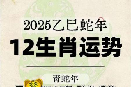 属虎人最艰难的两个年份，属虎人运势最低谷的年份