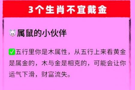 金马命适宜从事的生意类型