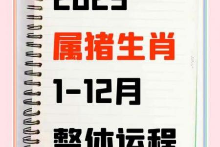 辰时出生属猪人的命运