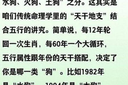 属狗者事业中与何相冲