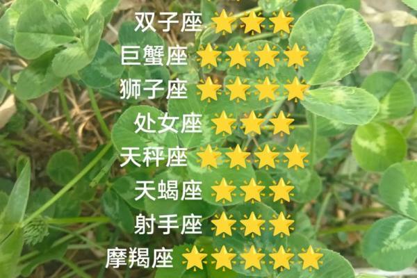 6月25日白羊座每日运势