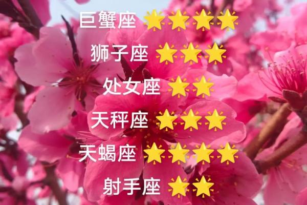 白羊座今日运势