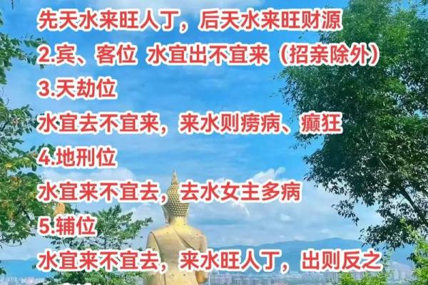 水龙命格的含义解析