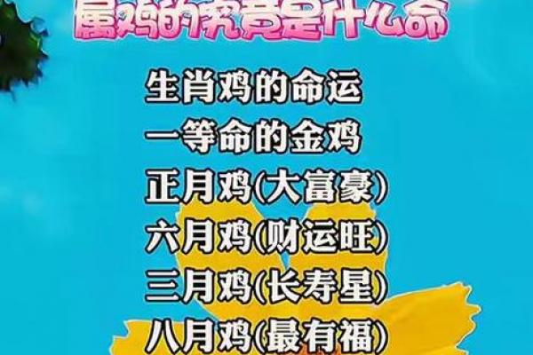属鸡者离婚年份预测