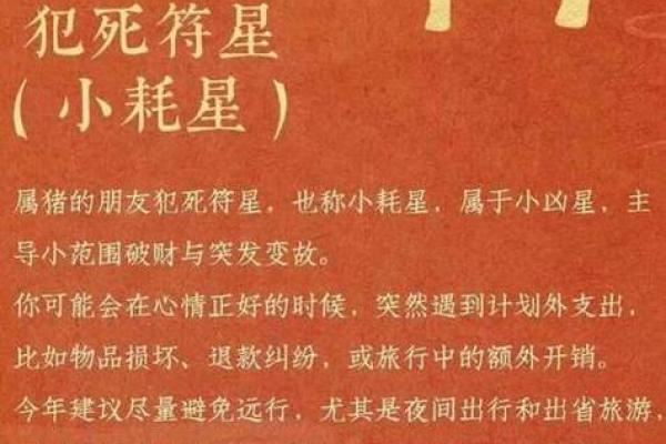 83年属猪女性2026年桃花运势如何