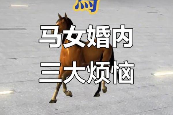 属马女性最怕被谁制得死死的
