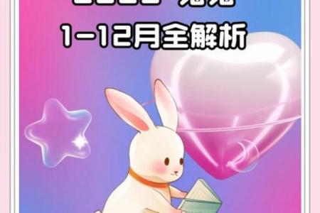 属兔人2026年每月运势详解