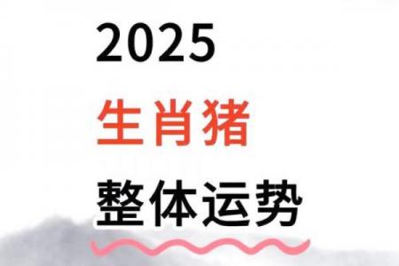 属猪2026年桃花运月份预测