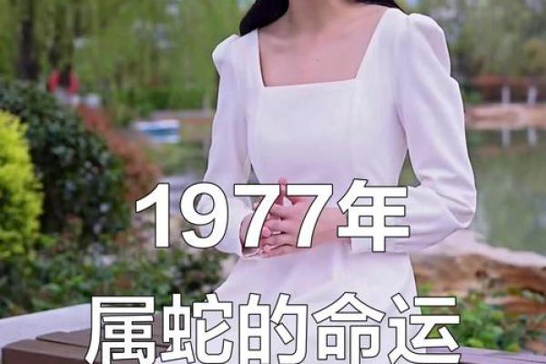 77年女蛇沙中土命缺什么