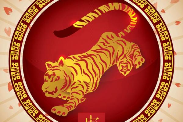 1962年属虎人晚年运势解析