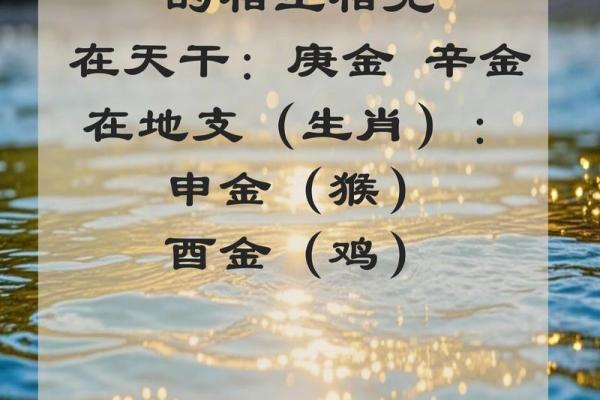木蛇命与海中金命是否相合