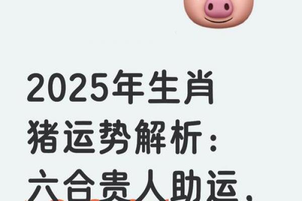 属猪者情劫年份解析：桃花劫高发时段