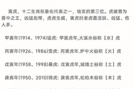 丑时出生属虎人的命运解析