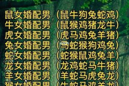 猴女命中注定与何生肖相伴一生