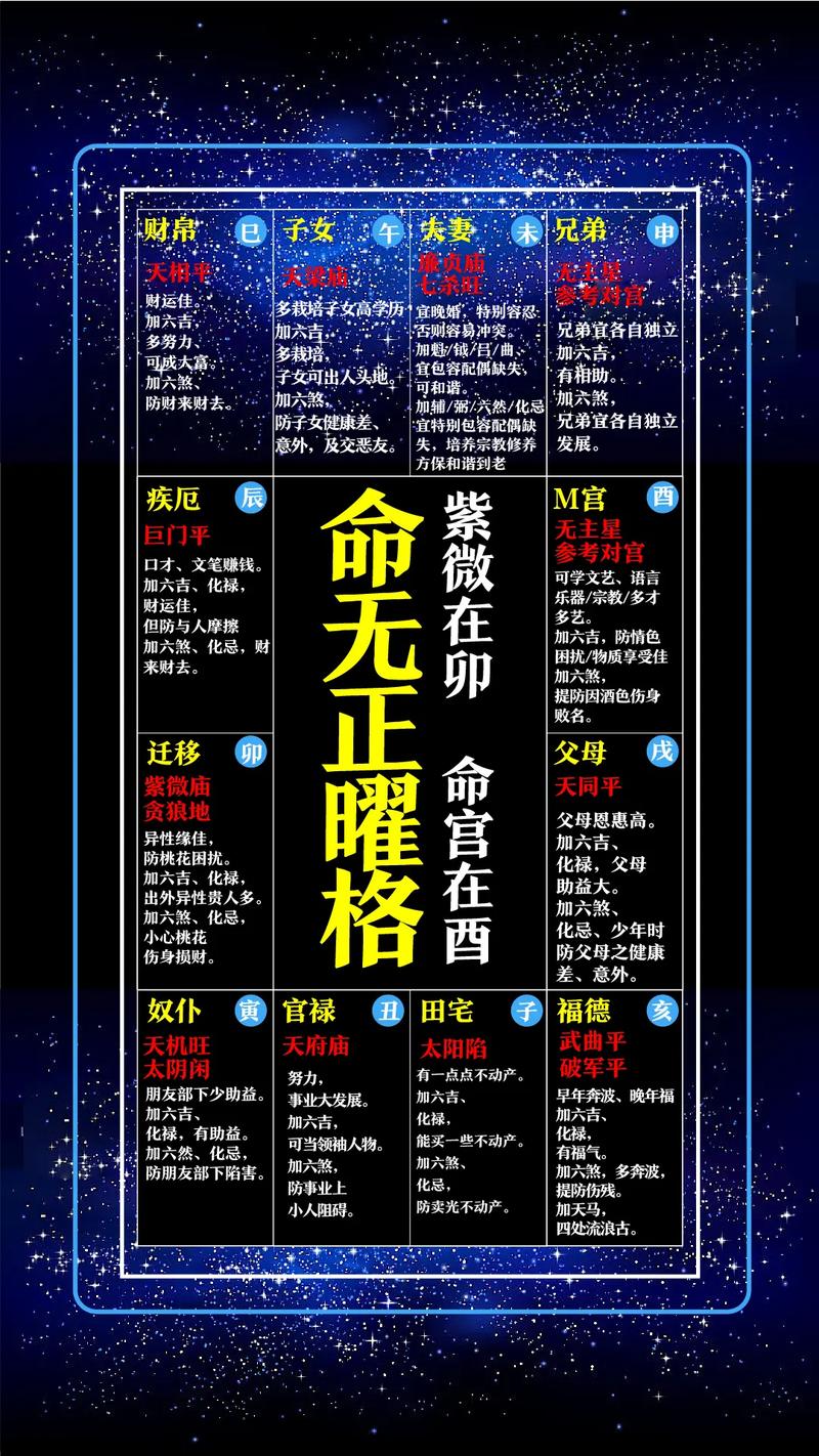 紫微斗数解析