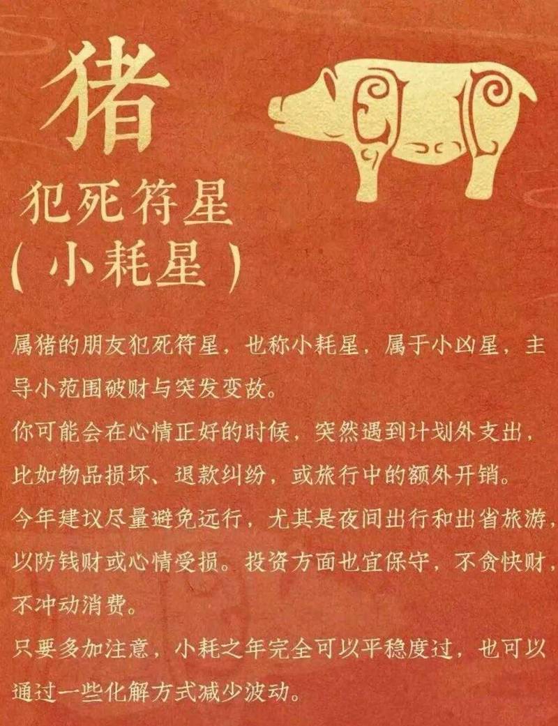 不敢惹属猪的生肖有哪些 斗不过属猪人的三大生肖