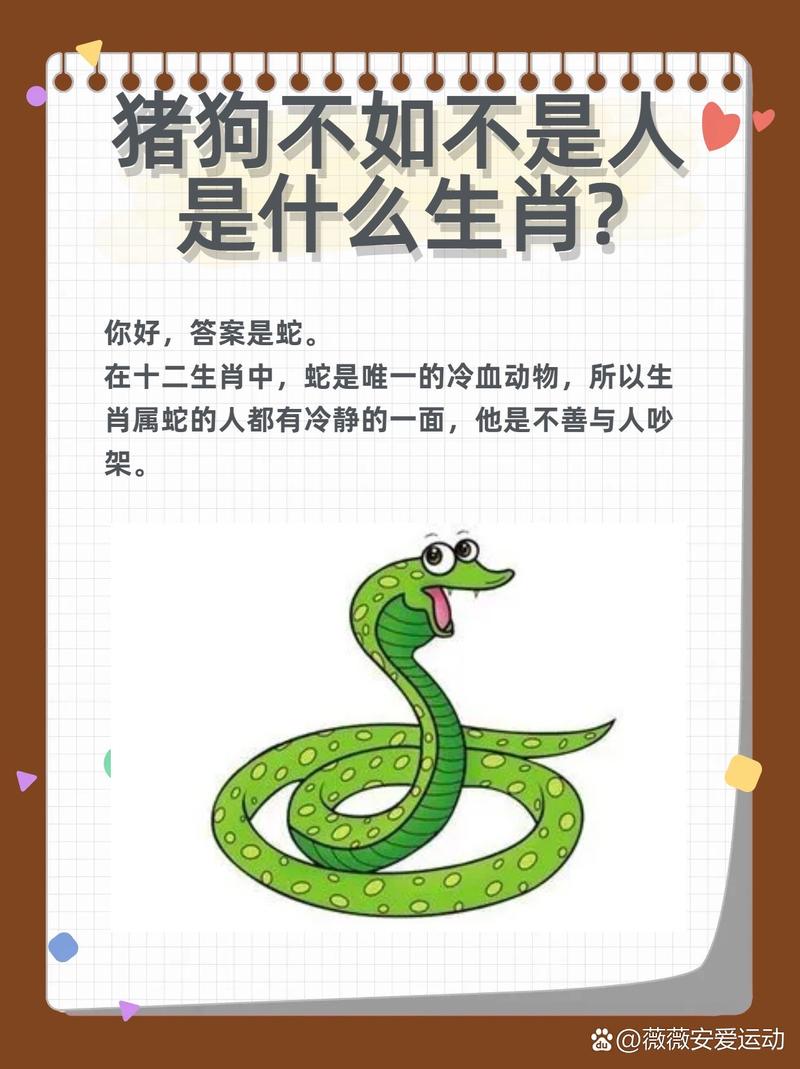 不敢惹属蛇的生肖是什么 斗不过属蛇人的三大生肖