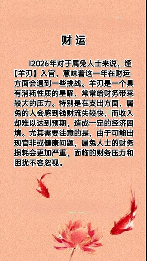属兔流年运势
