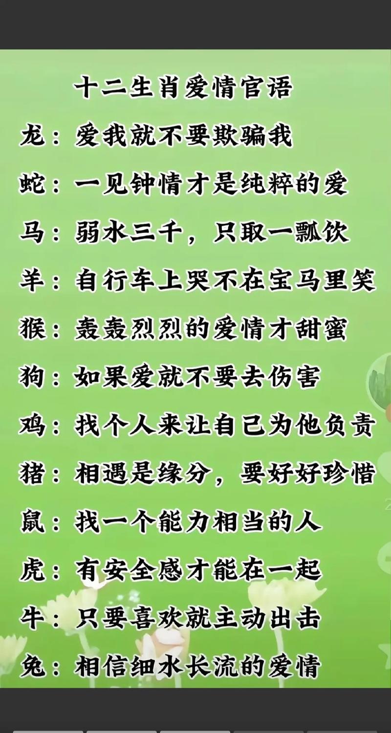 摩羯座爱情_属羊摩羯座感情软肋_摩羯座爱情性格核心