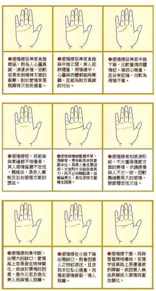 手相子女线_十二生肖子女线特点_手相子女线解读