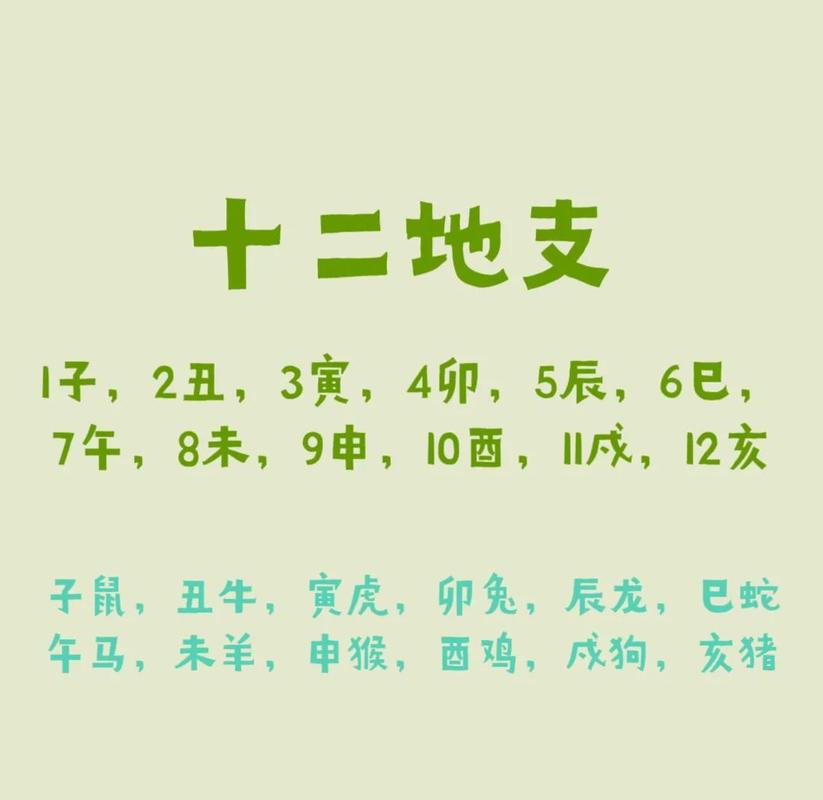 木狗命是火命？属狗人五行真相解析