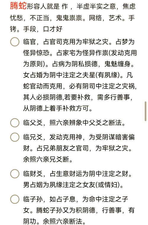 六爻占卜六亲全解：从零看懂卦中关系与吉凶