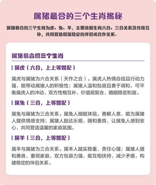 2026年属猪的真爱是谁 属猪人最佳婚配生肖揭秘