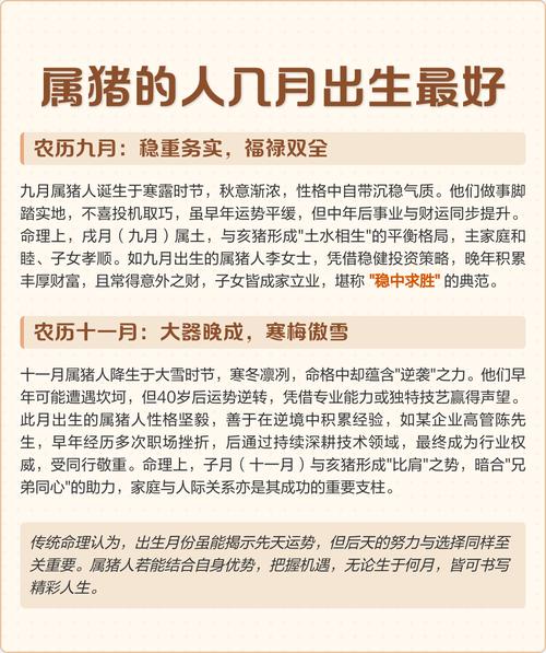 属猪一月份出生什么命 正月猪宝宝命运全解析