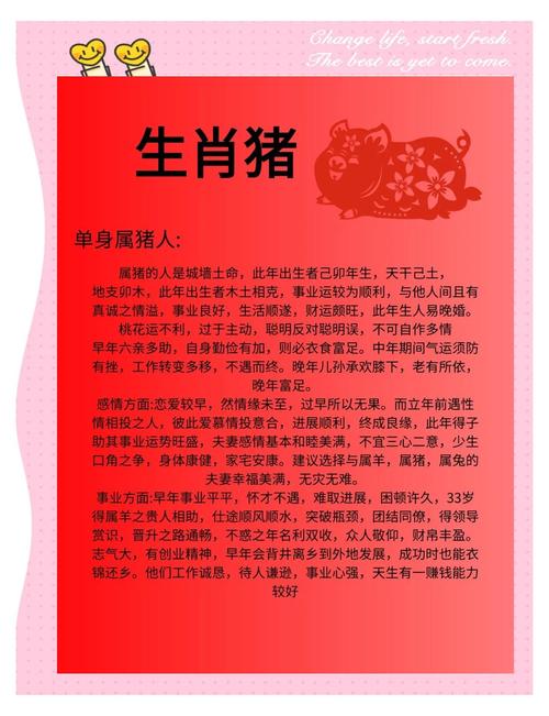 属猪人最适合的3个行业 财运旺盛事业顺遂
