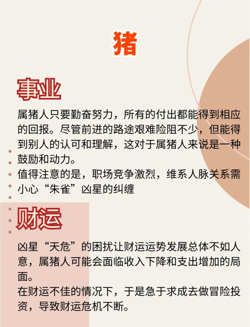 属猪人最旺的职业有哪些 这三个方向让你财运亨通