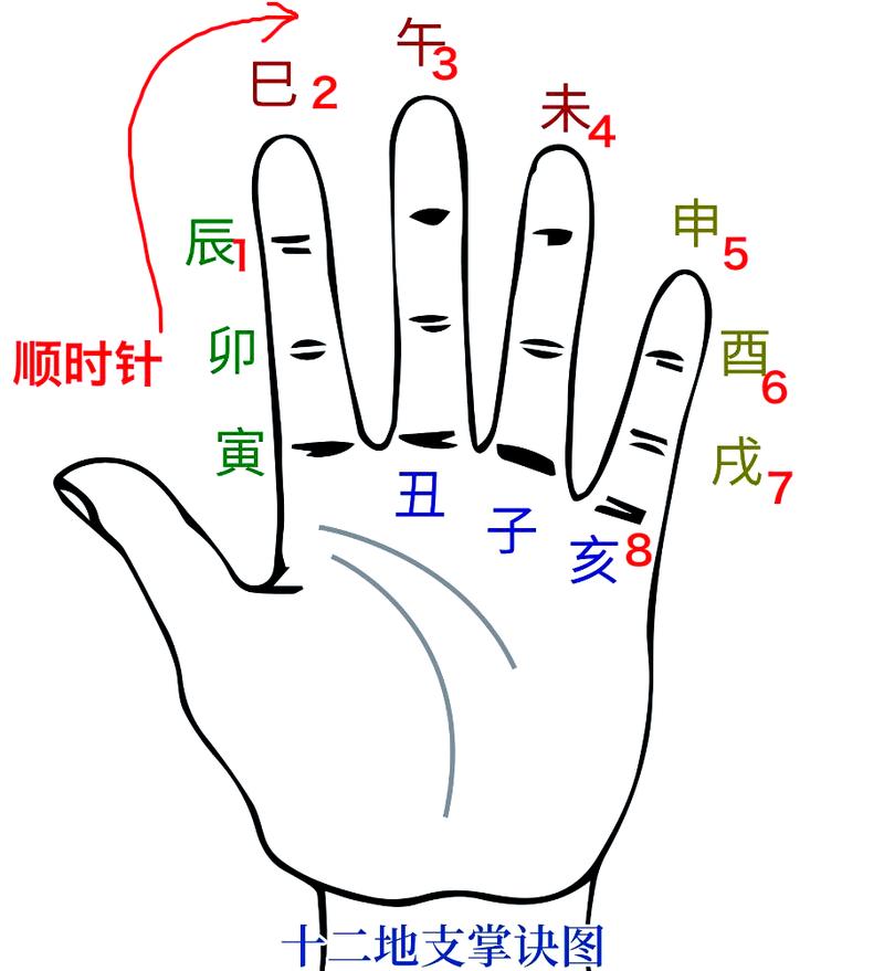 十二生肖奇门遁甲学习方向_奇门遁甲入门基础知识_奇门遁甲学习