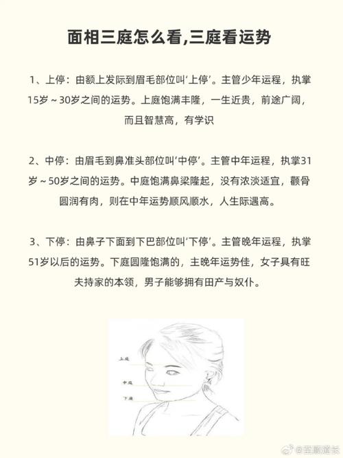 面相学原理_面相学原理阴阳五行_三停分区运势解读