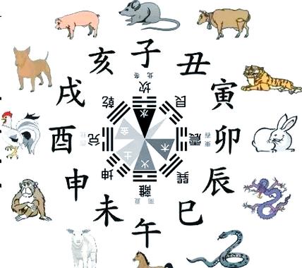 孕妇梦见早产_孕妇梦见早产吉凶解析_不同生肖梦见早产的寓意