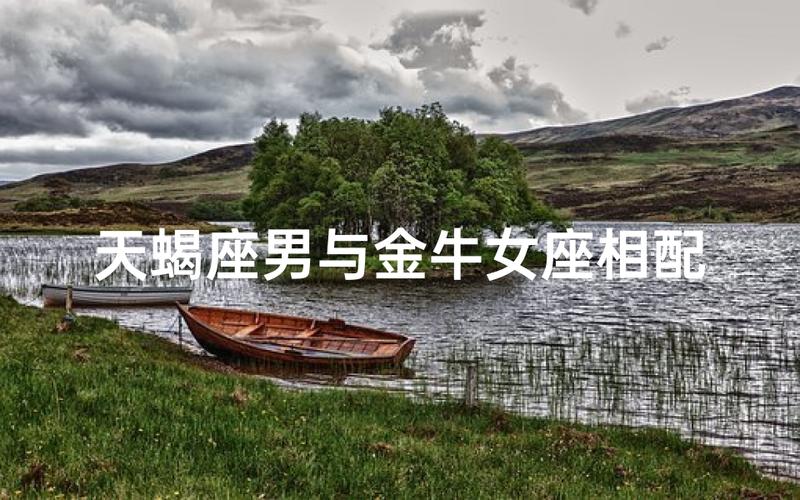 摩羯座和天蝎座为何天生一对 深度解析配对指数与2026年命理运势