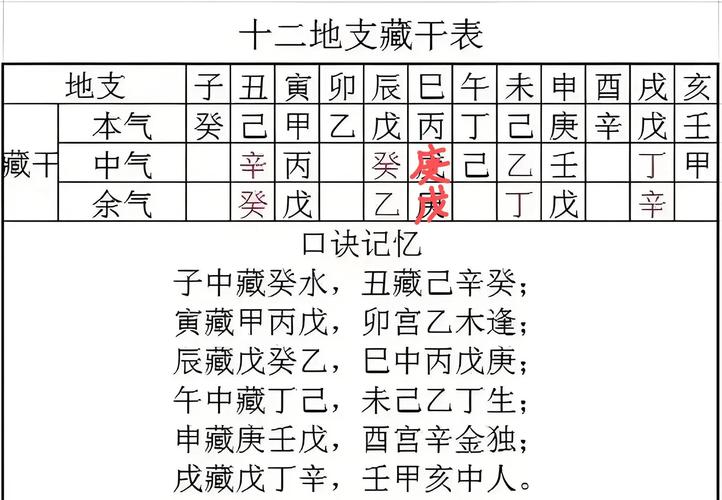 八字排盘疾病预测_八字五行健康分析_八字排盘健康状况