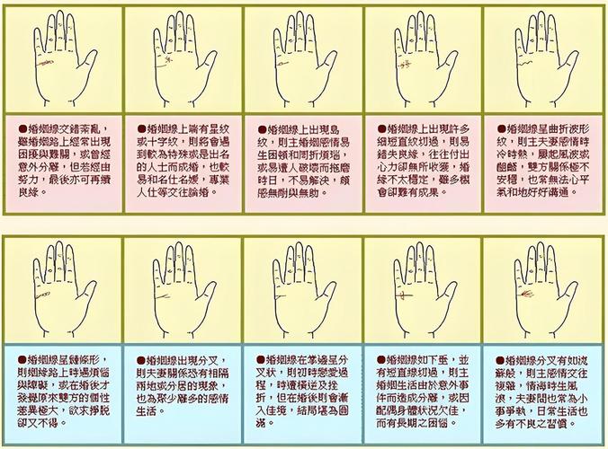 手相形状五行分类性格_手相形状_手相主要纹路解读