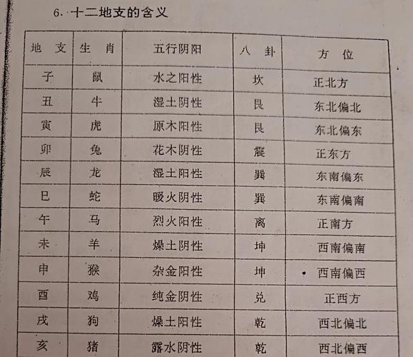 十二生肖性格有啥不同？一看就懂的性格差异