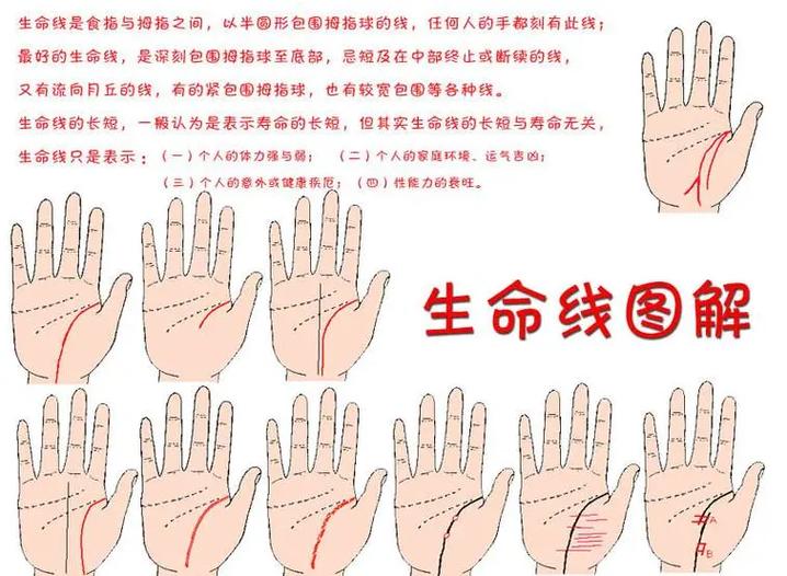 手相长短怎么看 揭秘你的生命线财运与事业运情