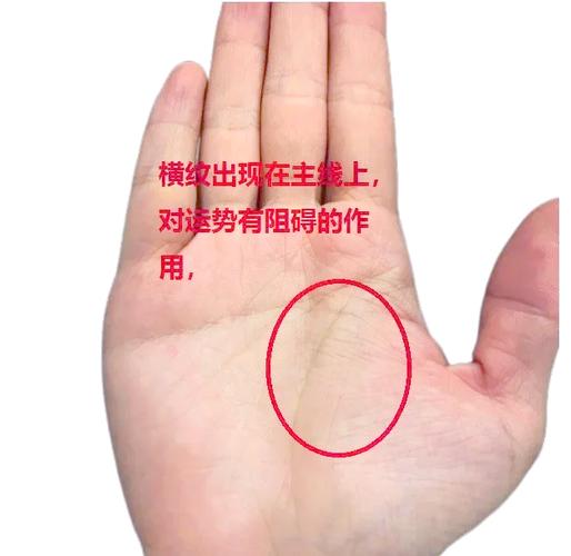 生命线短寿命分析_手相长短_手相长短看命运