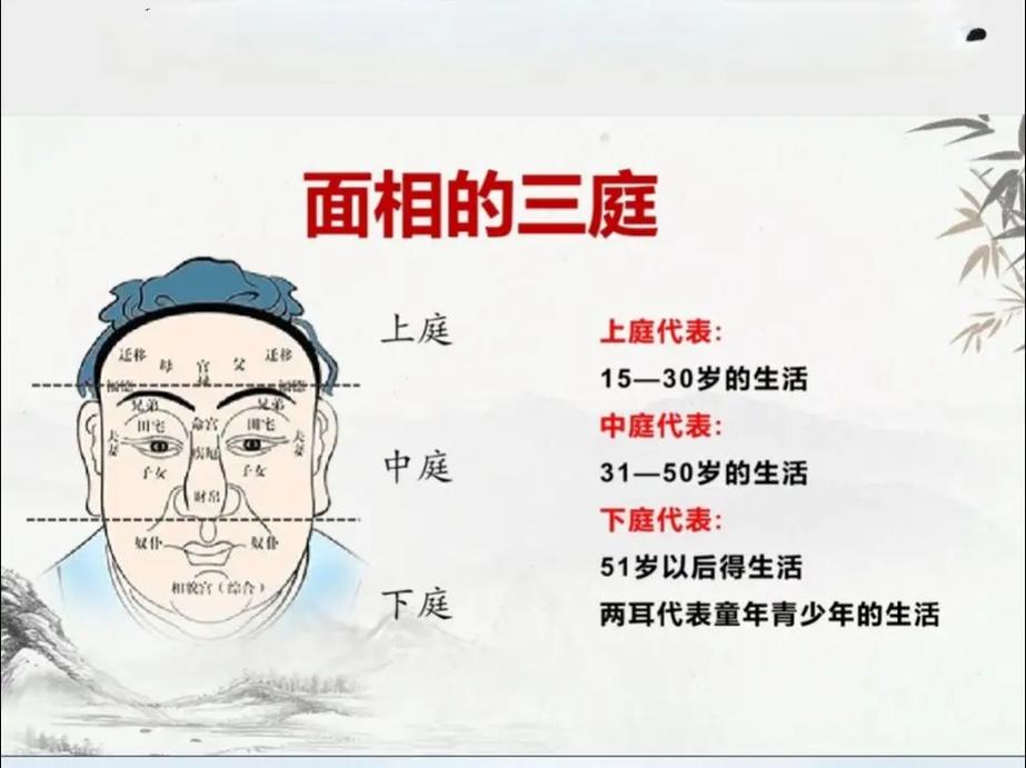 面相学基础概念与实战技巧_面相学讲座_面相学三停五官十二宫